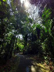 Mount Faber Lodge (D4), Condominium #460697371